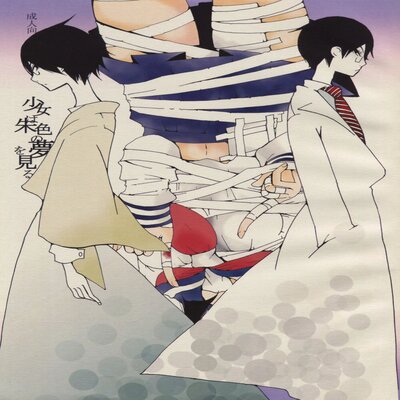 The Girl's Vermilion Dream manga cover